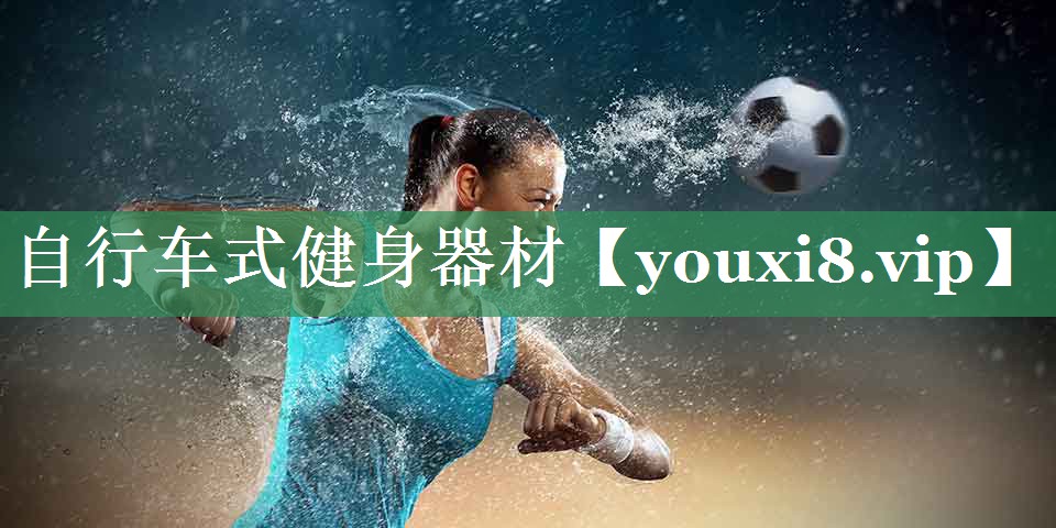 自行车式健身器材